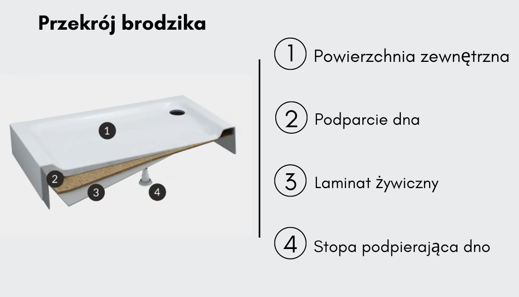 brodzik